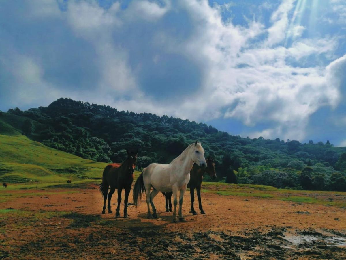 Finca Recreacional Marcelandia Santa Rosa de Cabal Zewnętrze zdjęcie