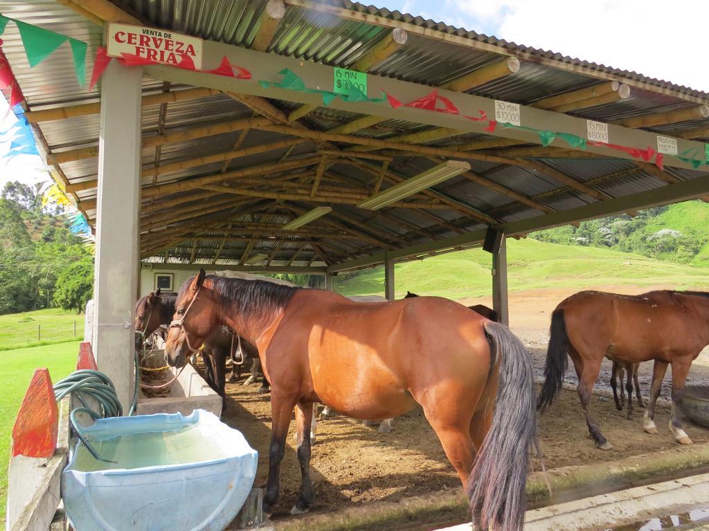 Finca Recreacional Marcelandia Santa Rosa de Cabal Zewnętrze zdjęcie